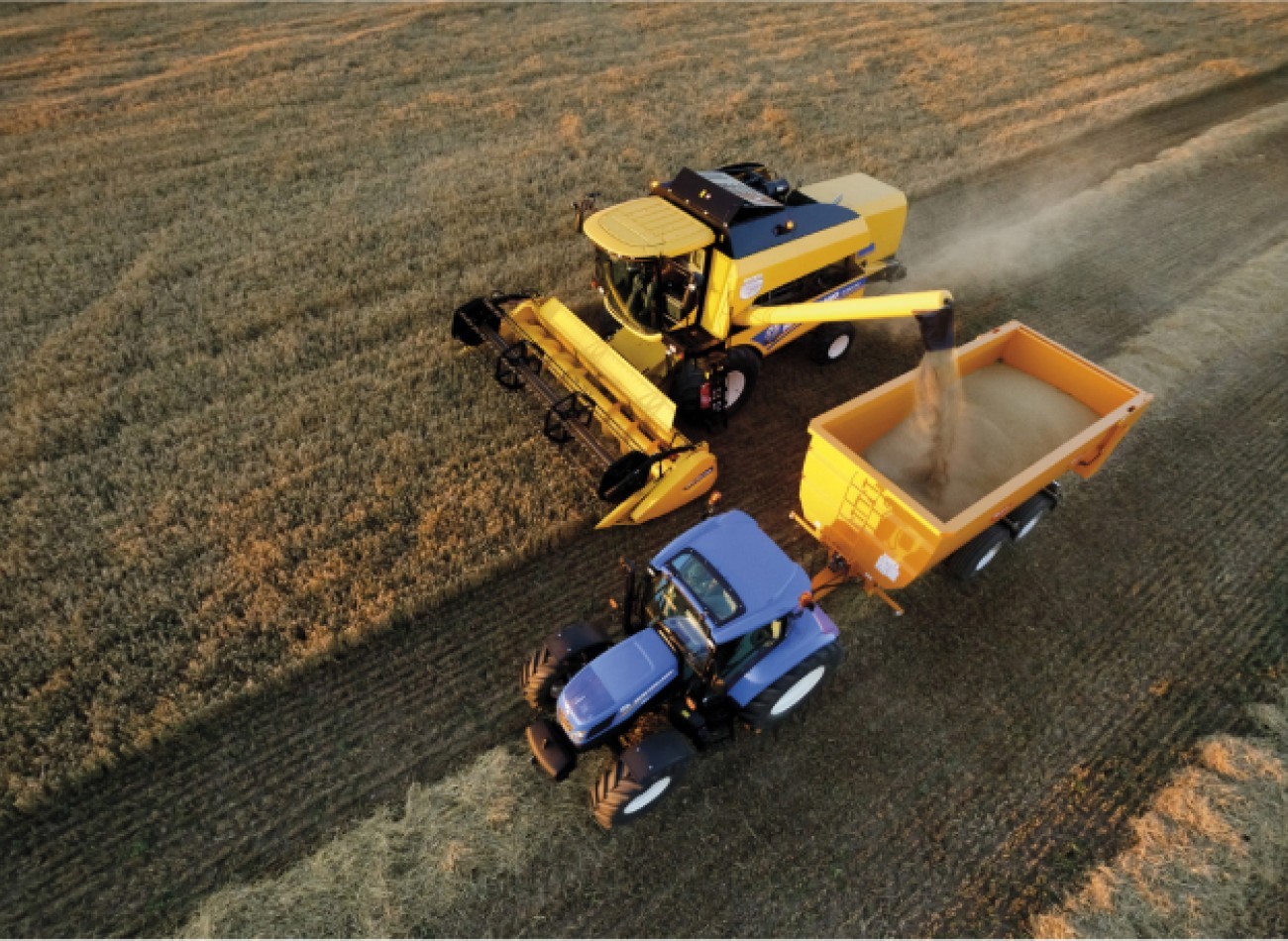 Moisson en cours